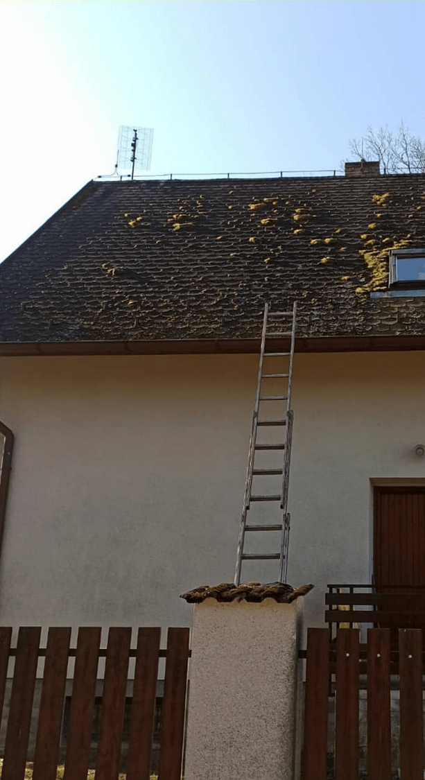 Čištění střechy v Praze – odstranění mechu a vysokotlaké mytí. před čištěním