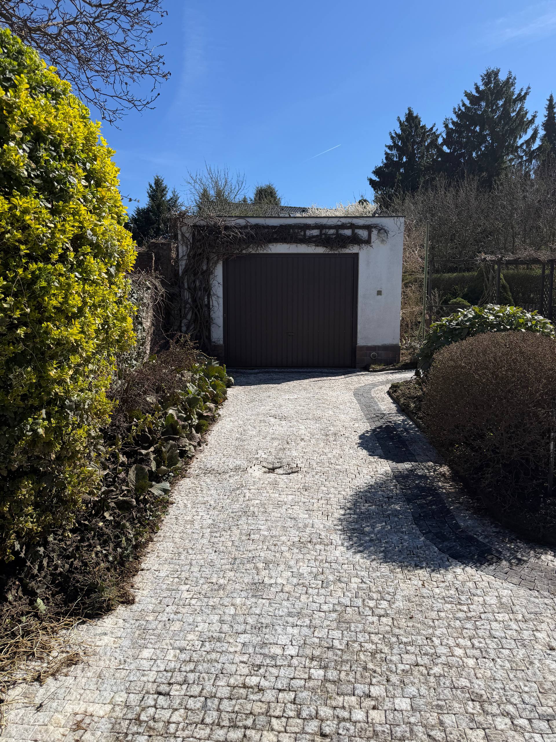 Profesionální čištění dlažby v Praze 5: Jak jsme zatočili s mechem a nánosy bláta po čištění