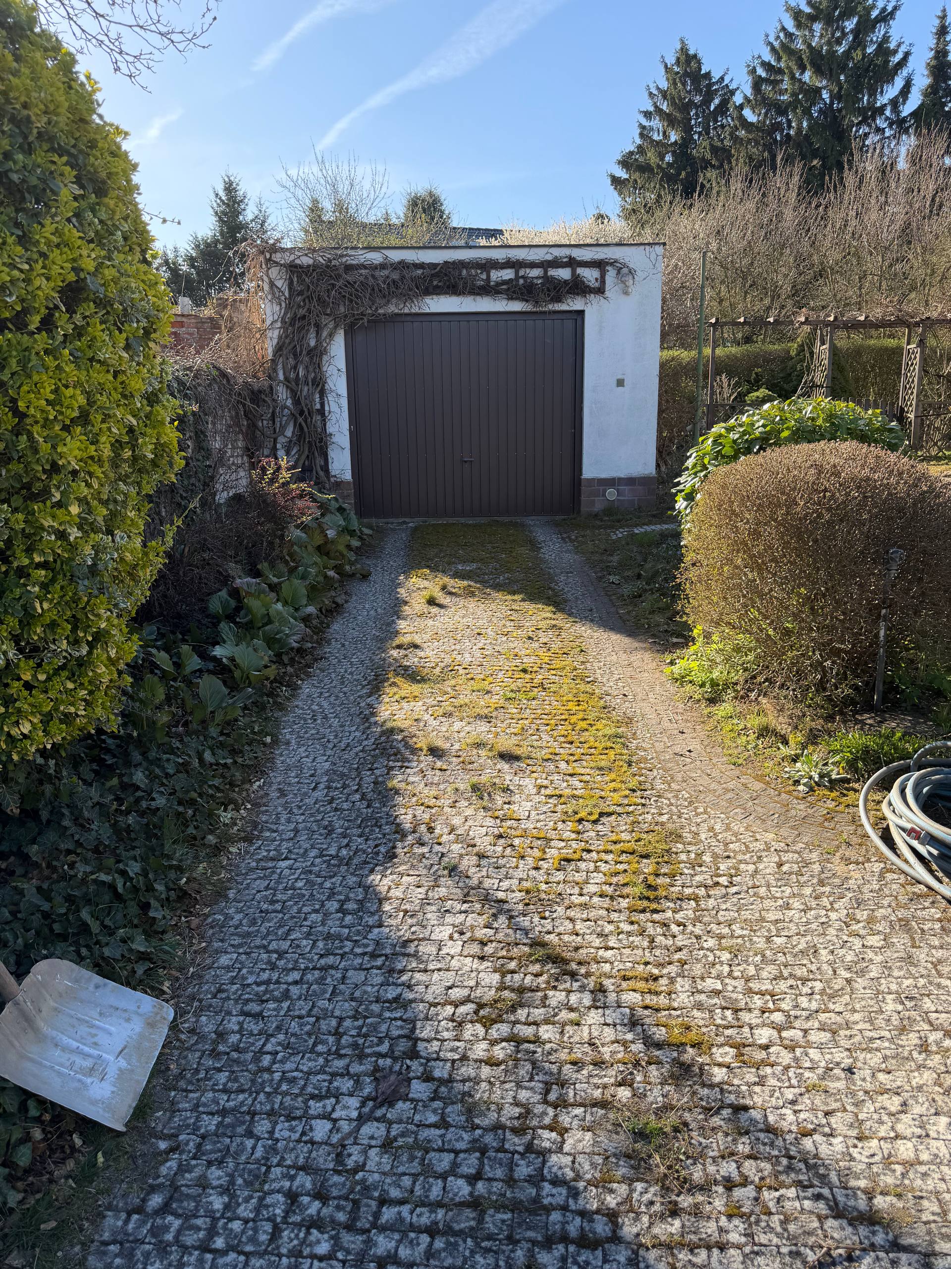 Profesionální čištění dlažby v Praze 5: Jak jsme zatočili s mechem a nánosy bláta před čištěním